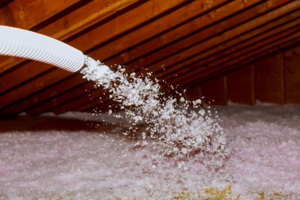 Best Types of Insulation in Caledonia, WI