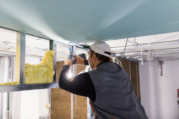 Best Insulation Maintenance and Repair in Caledonia, WI